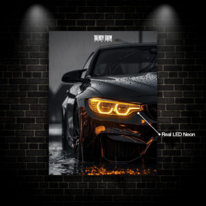 BMW F30 Black - Glow Plates
