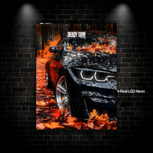 BMW - M4 Black F82 Generation - Glow Plates